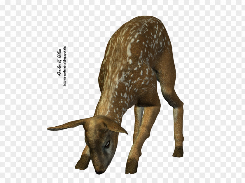 Goat Rehe Province Poser Rendering Character Structure PNG