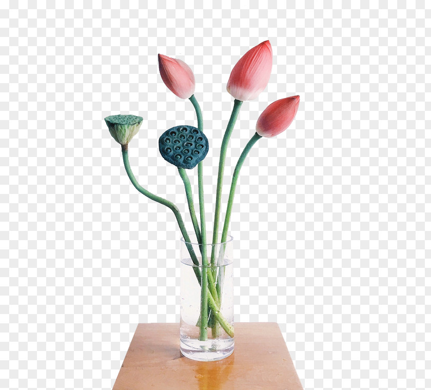 Lotus Table Vase PNG