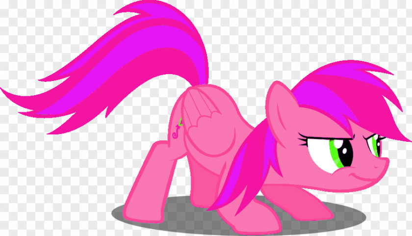 My Little Pony Pony: Equestria Girls Rainbow Dash Rarity PNG