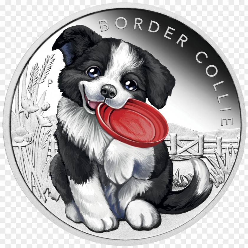 Puppy Border Collie Rough Perth Mint Beagle PNG
