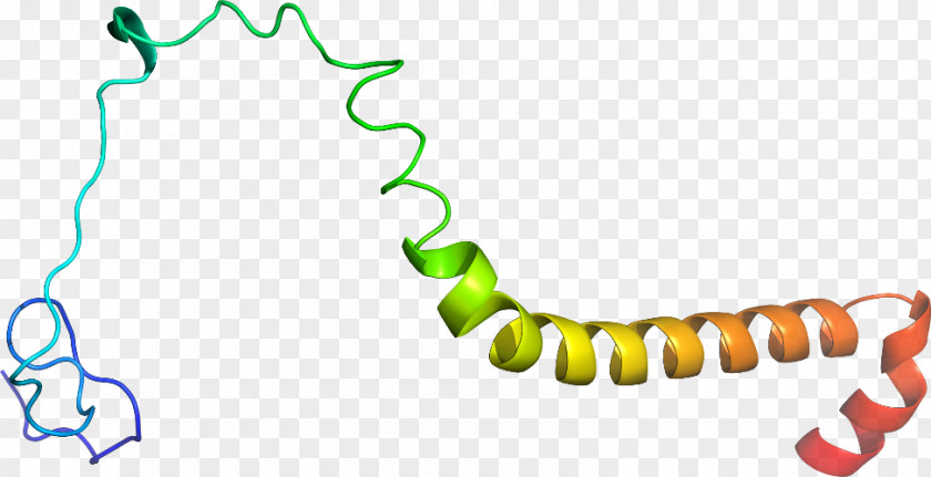 Ubiquinol Line Point Angle Clip Art Organism PNG