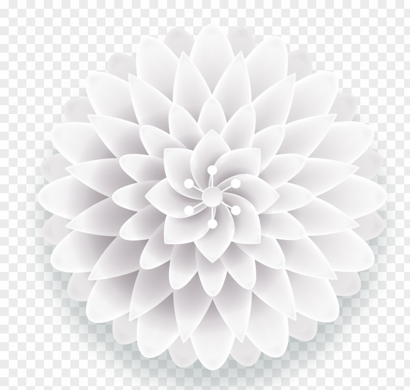 White Simple Three-dimensional Flowers Decorative Patterns PNG simple three-dimensional flowers decorative patterns clipart PNG
