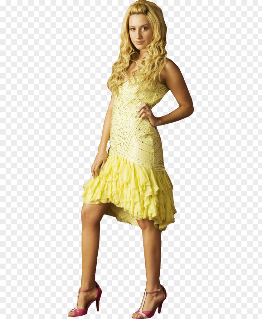 Ashley Tisdale Cindy Campbell Model High School Musical Scary Movie PNG