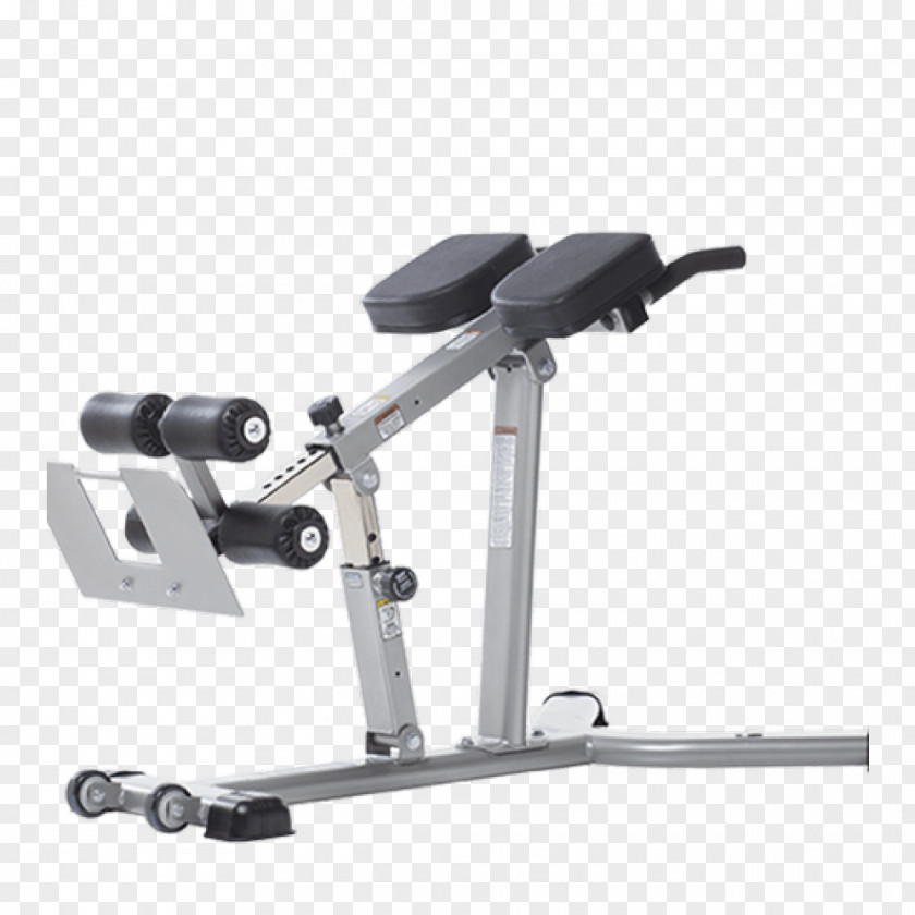 Bench Hyperextension Roman Chair Exercise Equipment Strength Training PNG