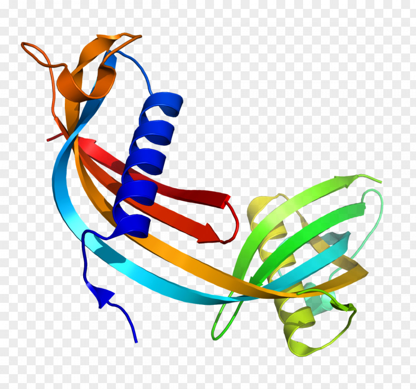 C Cystatin Immunology Renal Function Reagent Creatinine PNG