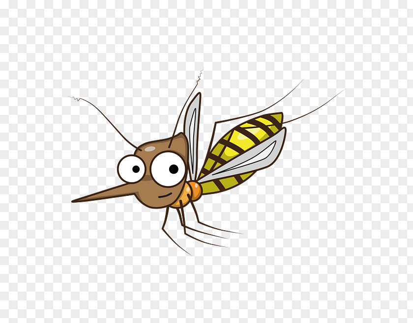 Cartoon Mosquito Insect Butterfly Biological Life Cycle Clip Art PNG