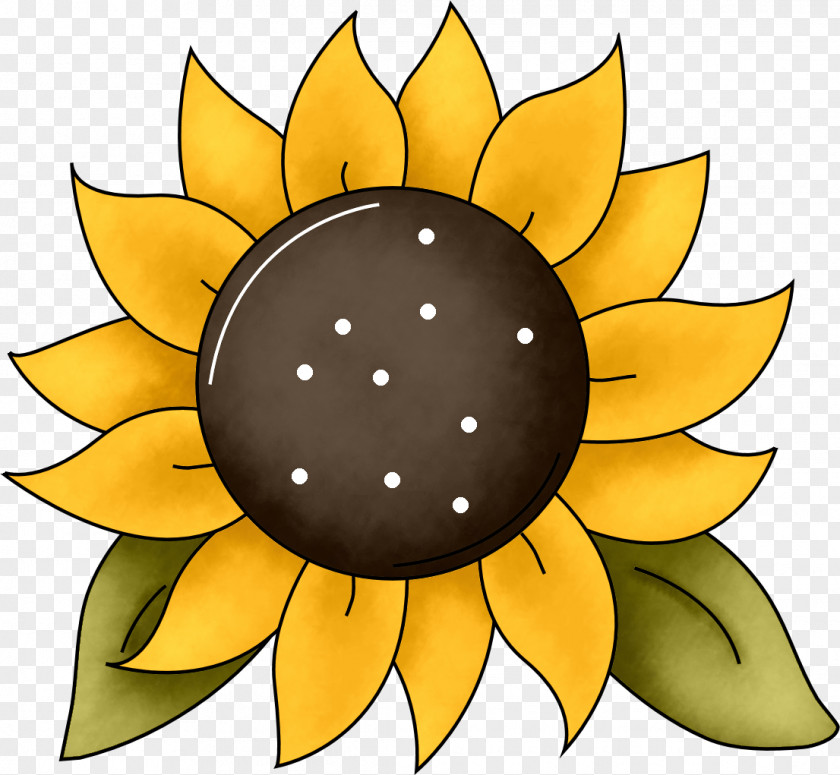 Sunflower Template Common Petal Clip Art PNG