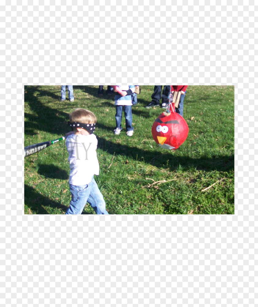 Ball Lawn Toddler Recreation PNG