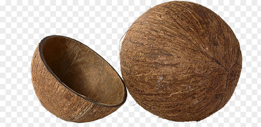 Brown Coconut Shell Dessert Clip Art PNG