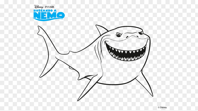 Bruce Nemo Coloring Book Drawing Shark PNG