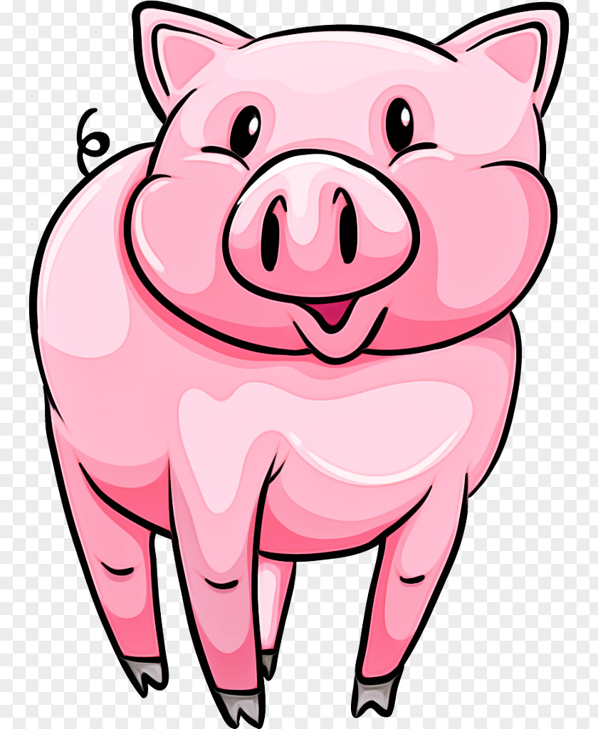 Cartoon Pink Snout Suidae Nose PNG