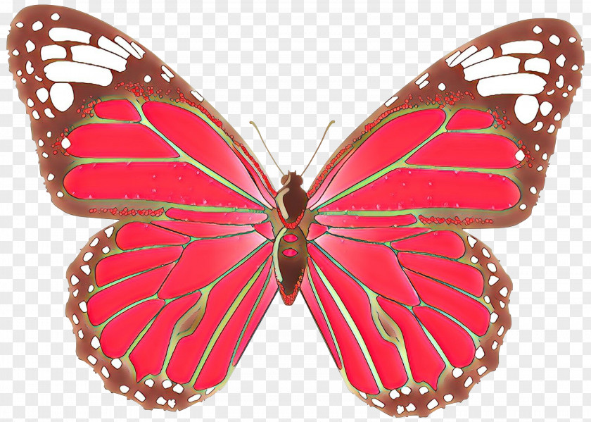 Clip Art Butterfly Image Openclipart PNG