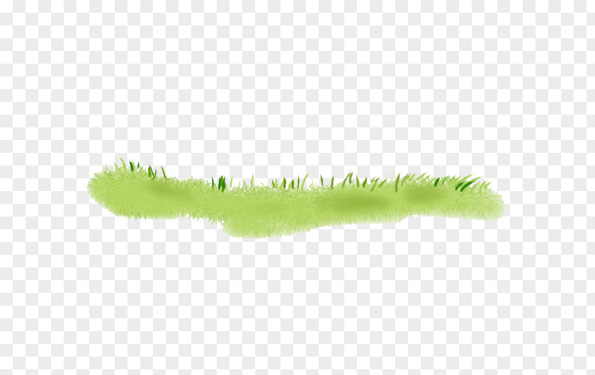 Hand Painted Green Grass PNG