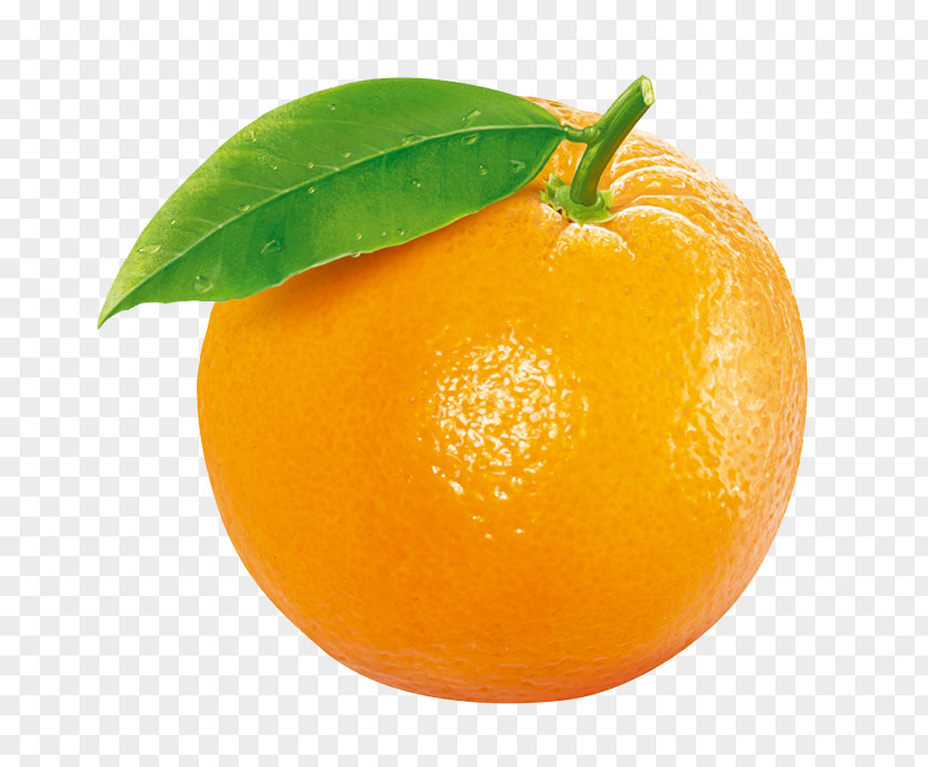 Orange Fruit Tangerine Clementine PNG