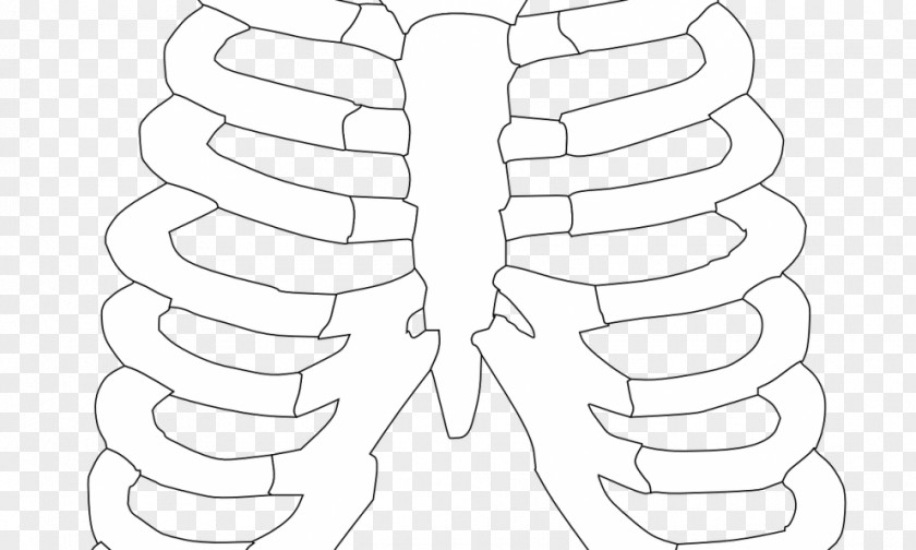 Rib Cage Human Skeleton Body Clip Art PNG