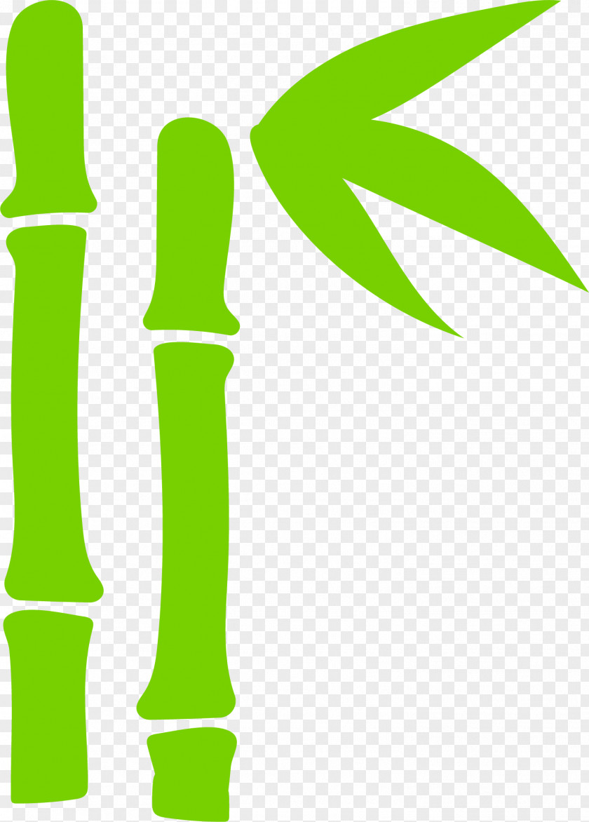 Hand Painted Green Bamboo Leaves Bamboe Leaf PNG