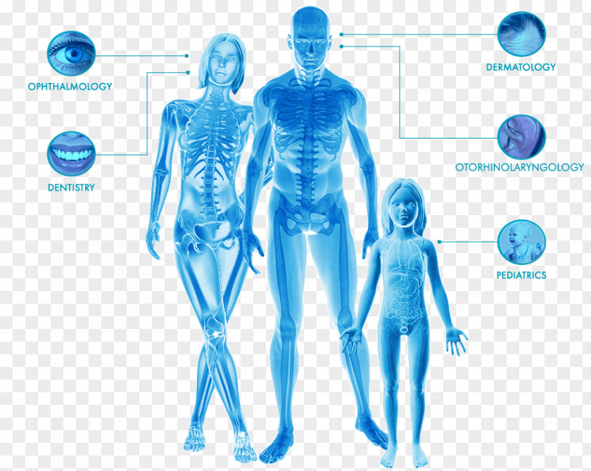 Medical Apparatus And Instruments Shoulder Homo Sapiens Human Behavior Hip Arm PNG