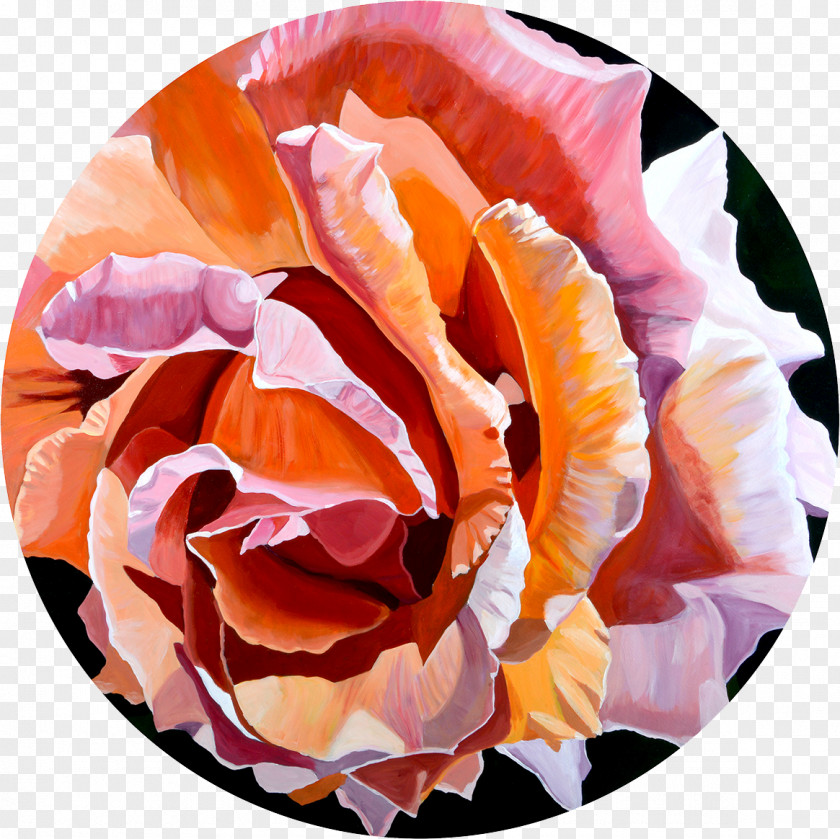 Peach Petals Graphic Arts Work Of Art Painting PNG