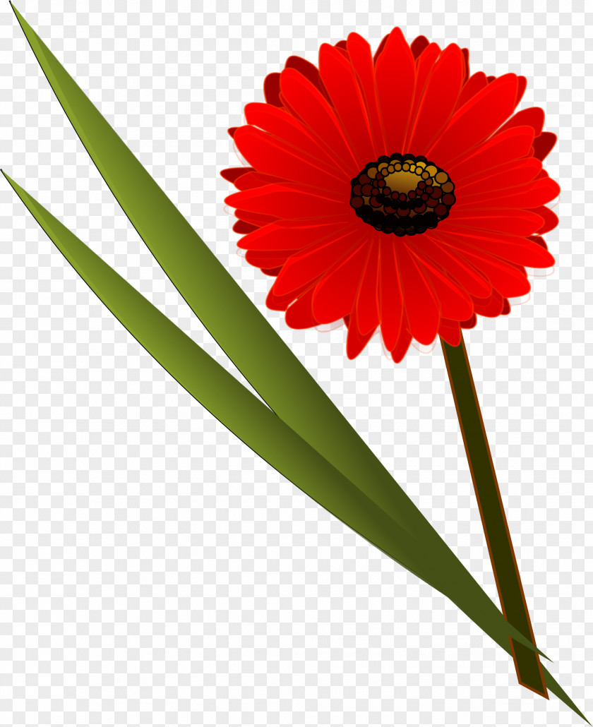 Red Flower Bouquet Clip Art PNG