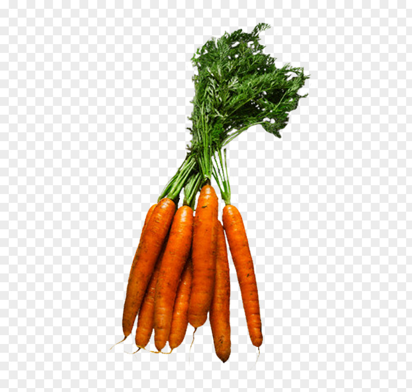 Vegetable Baby Carrot Leaf Fruit Food PNG