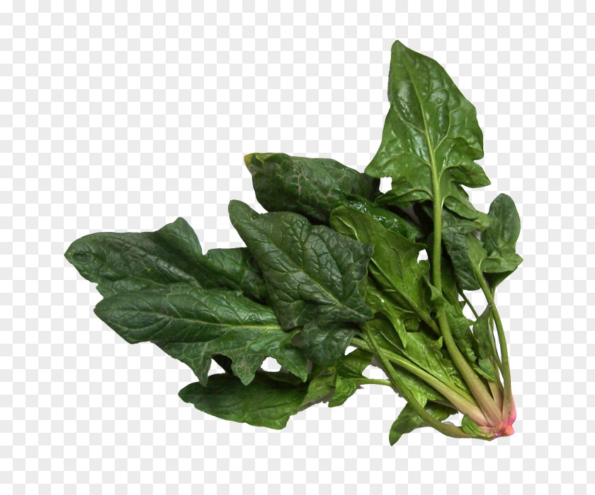 Vegetable Spinach Salad Chard PNG