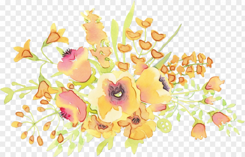 Wildflower Petal Watercolor Floral Background PNG