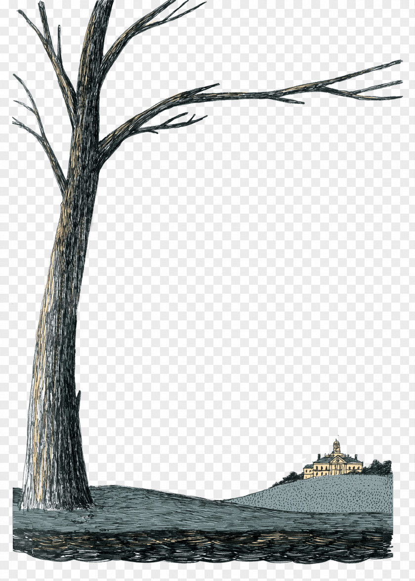 Book Tree A Separate Peace Boarding School Twig PNG