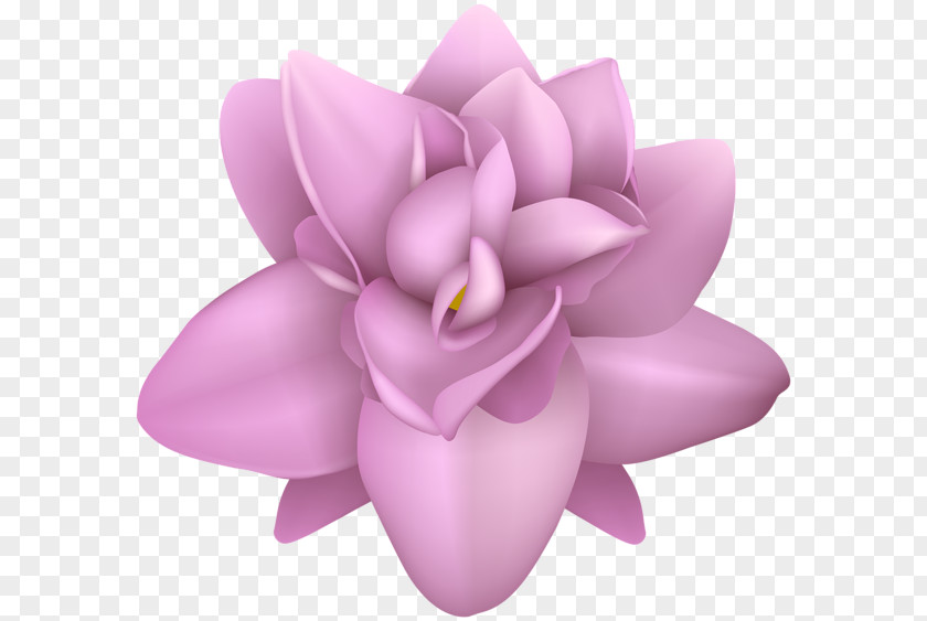 Flower Petal Image Clip Art Transparency PNG