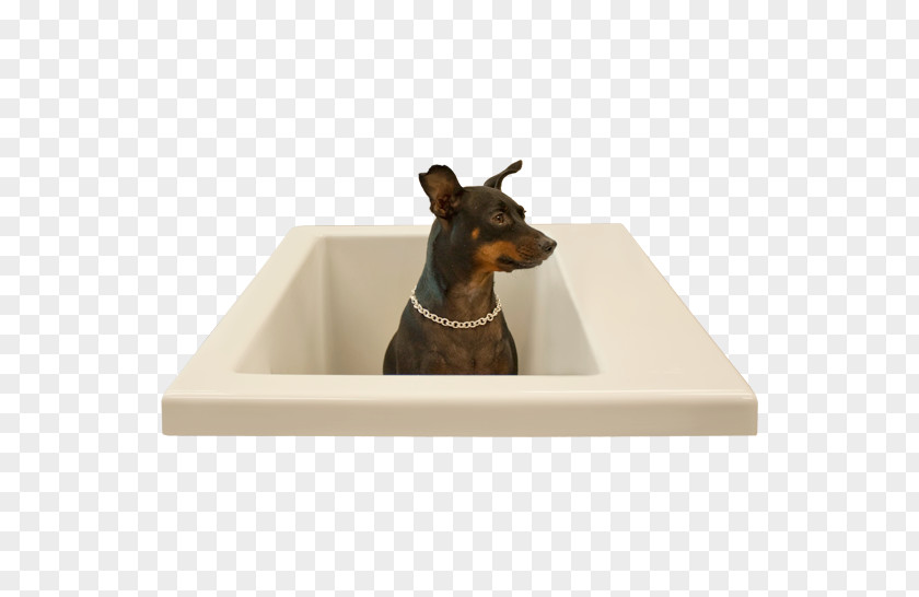Infinity Tub Freestanding Baths Dog Breed Washing Shower PNG