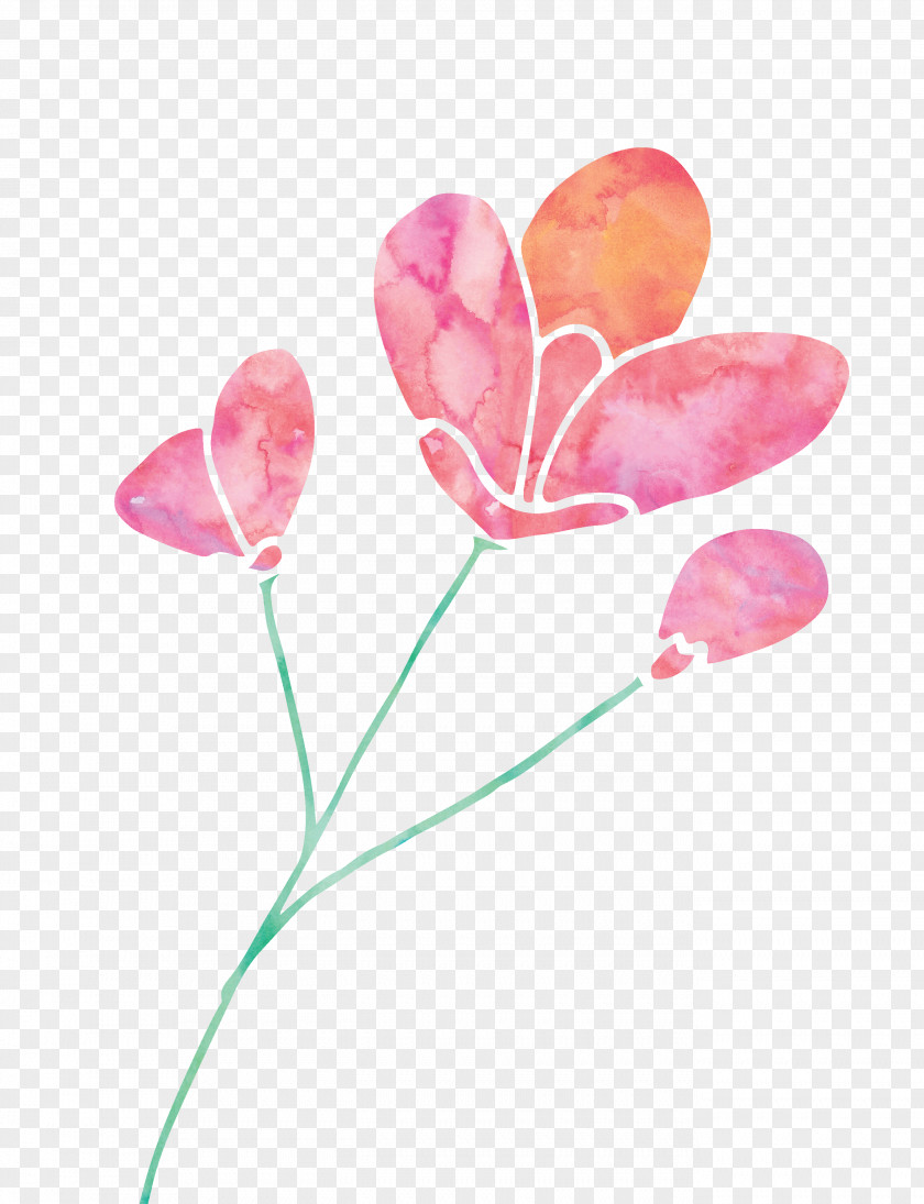 Pink Flowers Tulip Clip Art PNG