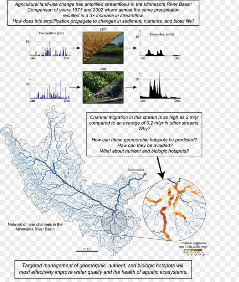 Tree Water Resources Diagram Line PNG