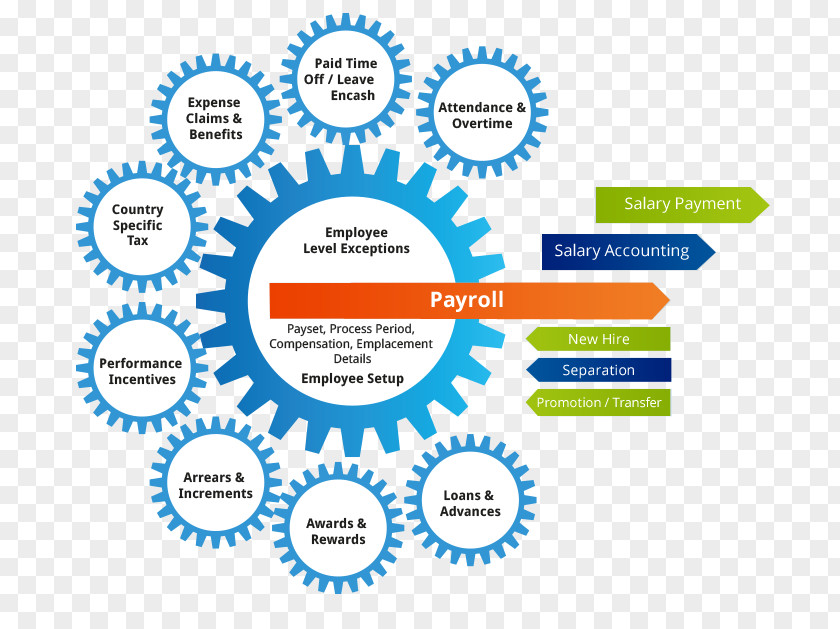 Business Payroll Employee Benefits Management Outsourcing PNG