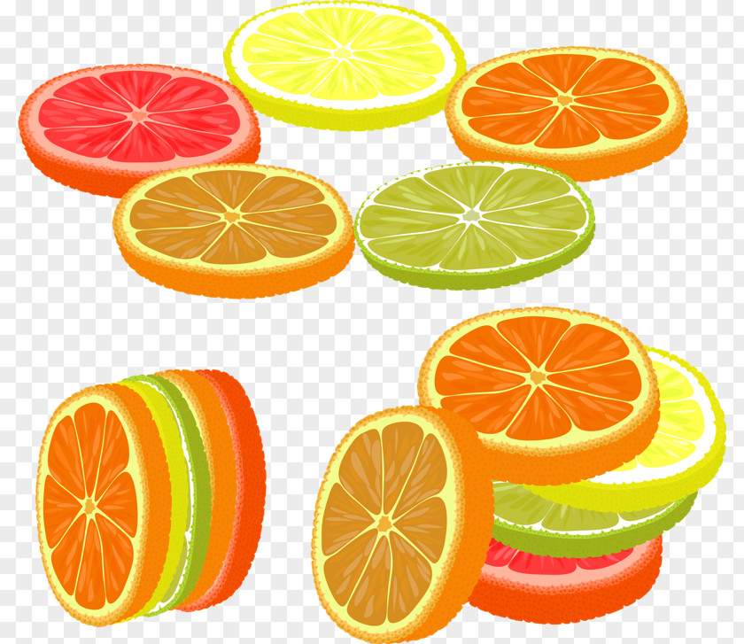 Colored Lemon Slices Grapefruit Rangpur Orangelo Lime PNG