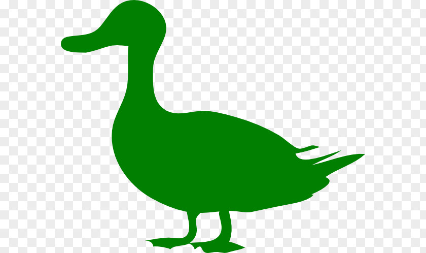 Green Ducks Donald Duck Mallard Bird Goose PNG