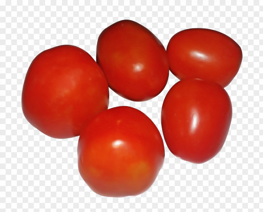 Nightshade Family Vegetable Tomato PNG