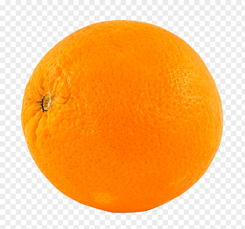 Orange Stock.xchng Image Fruit PNG