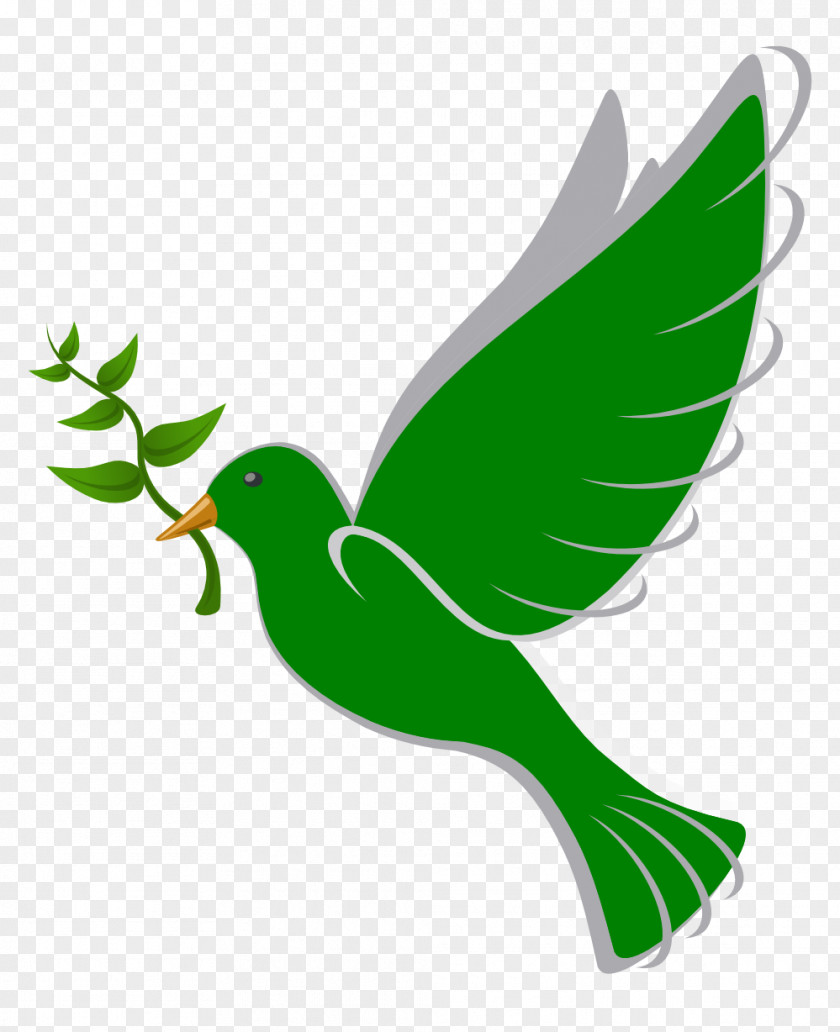 Peace Dove Clipart Columbidae Bird Doves As Symbols Clip Art PNG