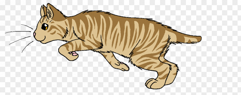 Firestar Transparent Warriors Birchfall Thornclaw Tigerstar Goldenflower PNG