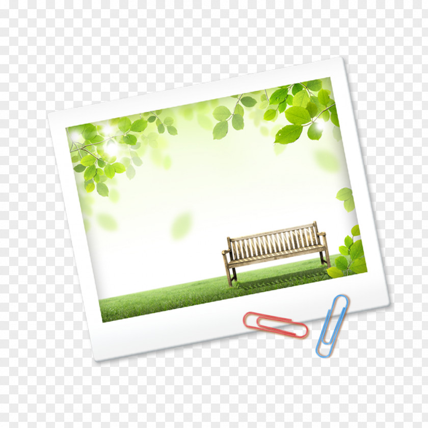 Free Trees Grass Postcard Pull Material Paper Download PNG