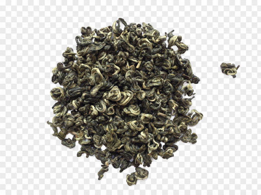 Genmaicha Nilgiri Tea Oolong Plant PNG