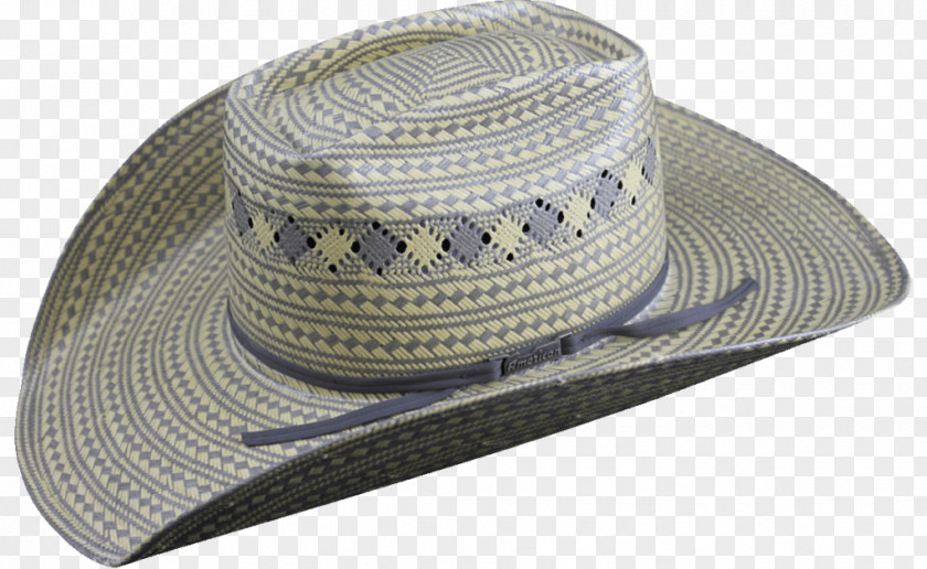 Hat Fedora Cowboy American Company PNG