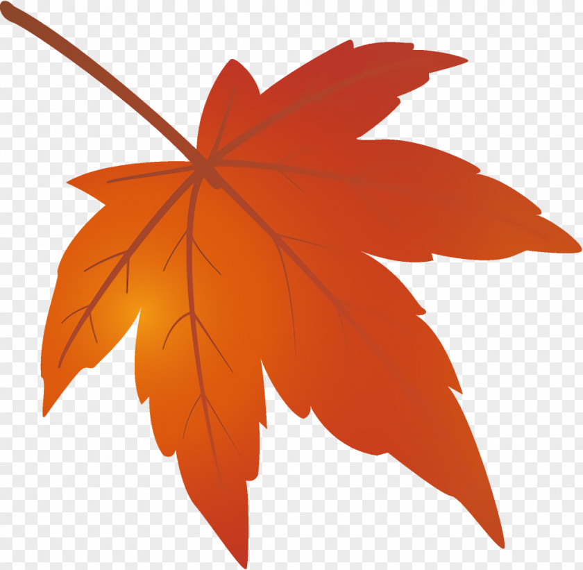 Sweet Gum Plant Maple Leaf Autumn Yellow PNG