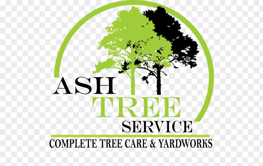 Tree Ash Service Logo Brand PNG