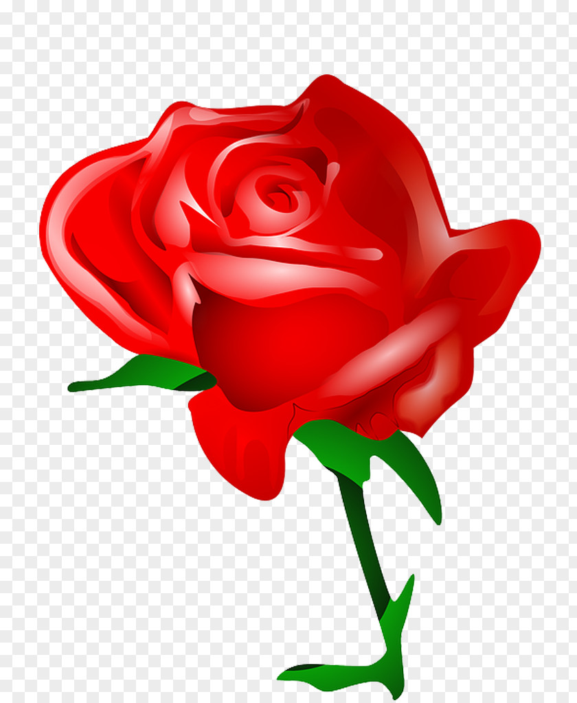 Valentine's Day Rose Heart Clip Art PNG