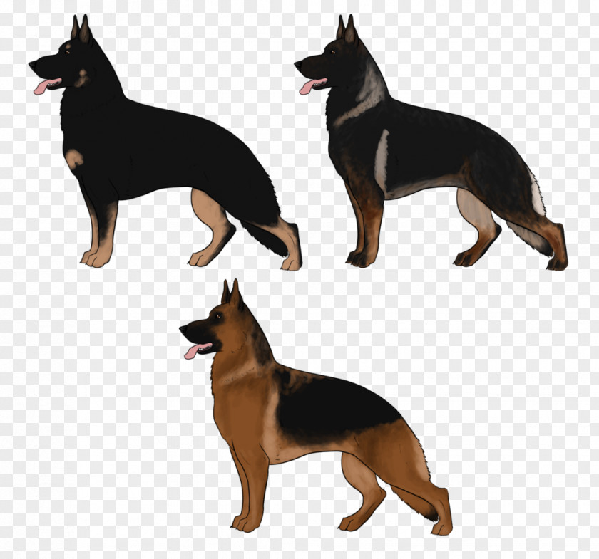 Australia Ormskirk Terrier German Shepherd Australian Kelpie Kunming Wolfdog Cattle Dog PNG