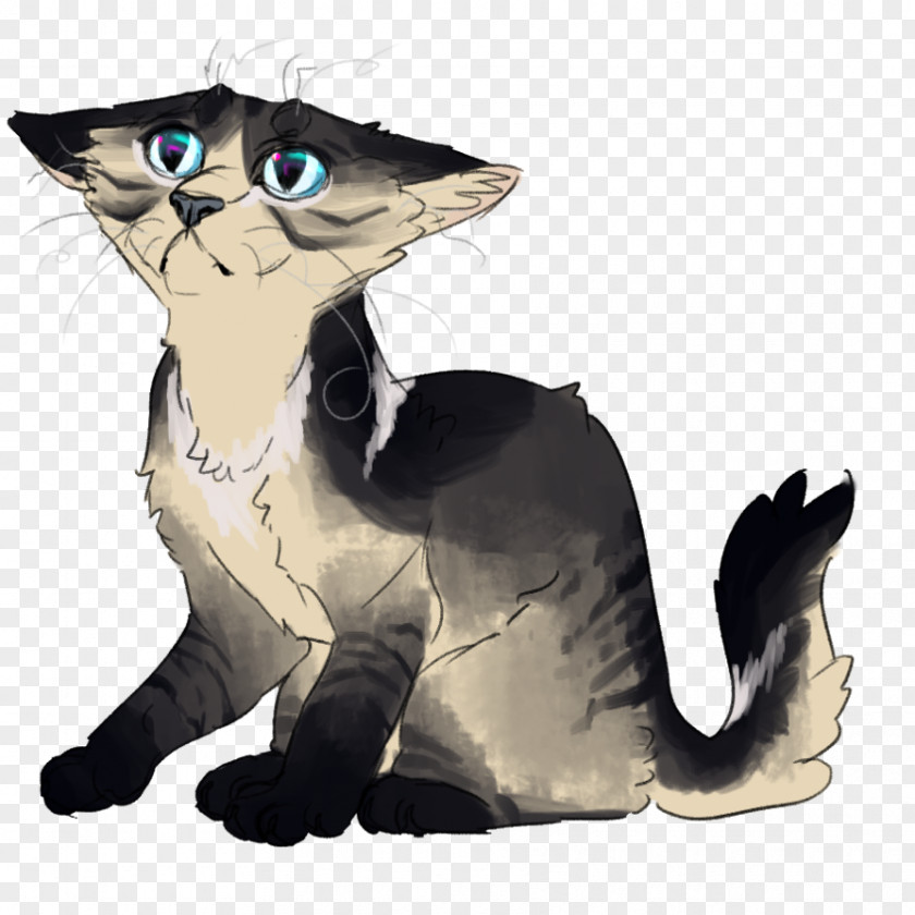 Cat Whiskers Domestic Short-haired Paw PNG