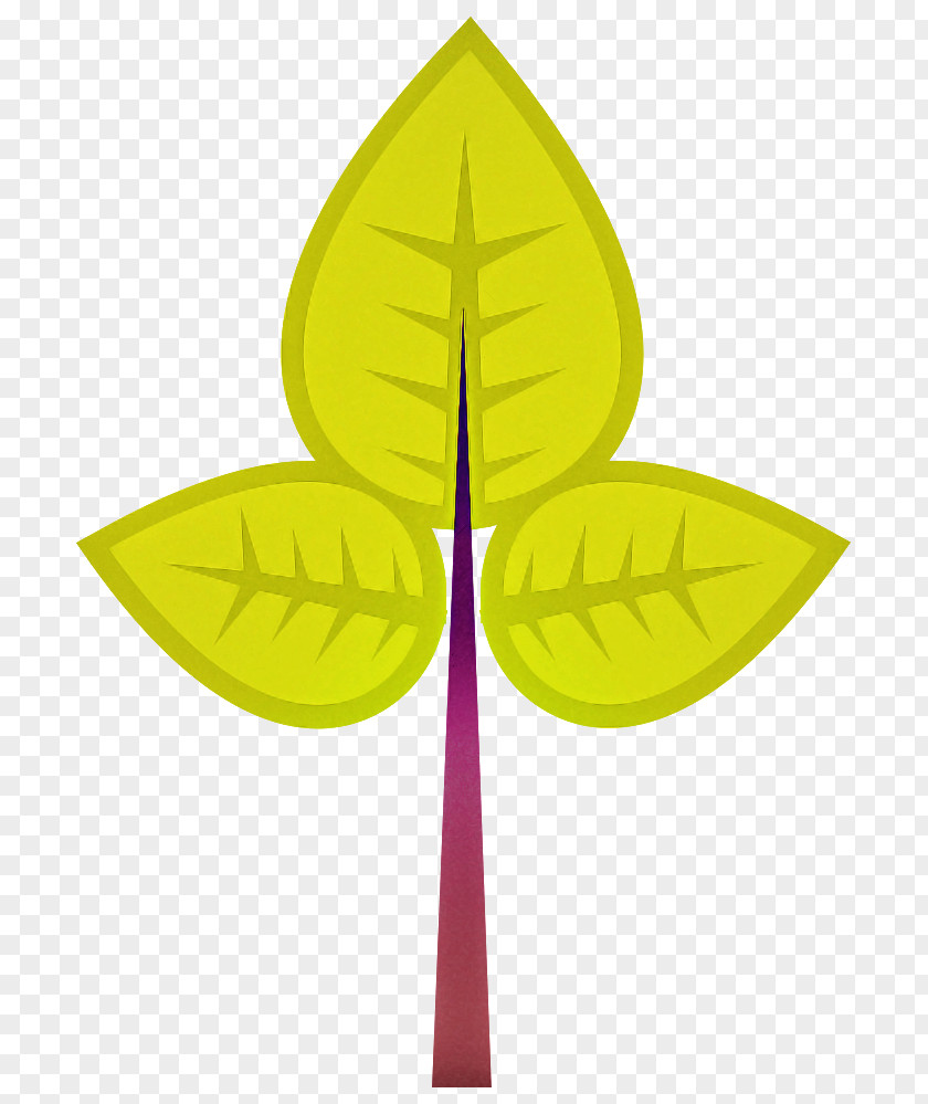 Tree Leaf Branch Logo PNG