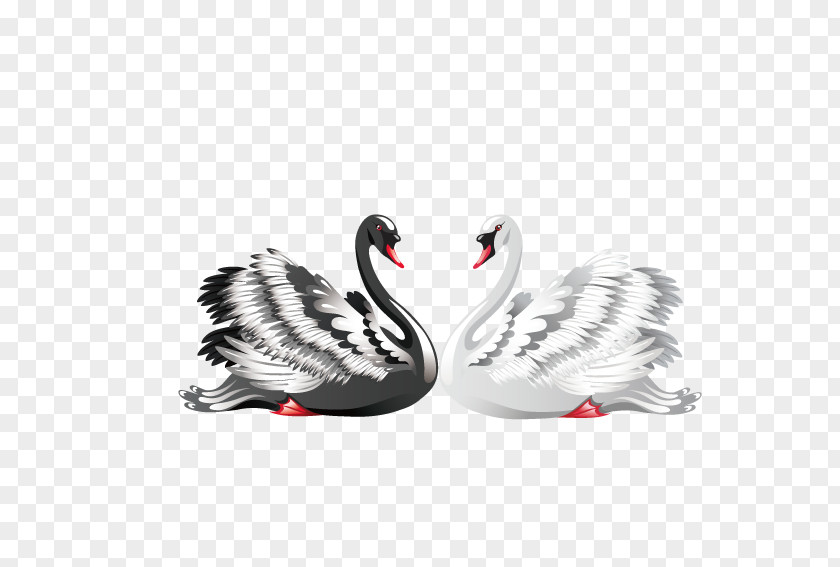 Vector Love Black And White Swans Swan Royalty-free Clip Art PNG