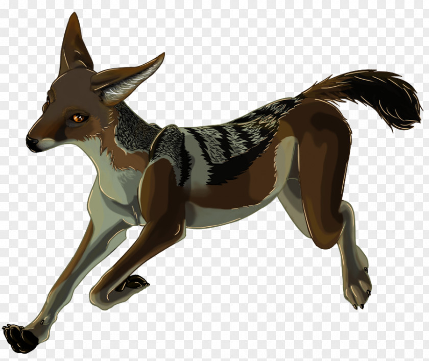 Cute Dolphin Drawing Black-backed Jackal Dog Breed Fox PNG