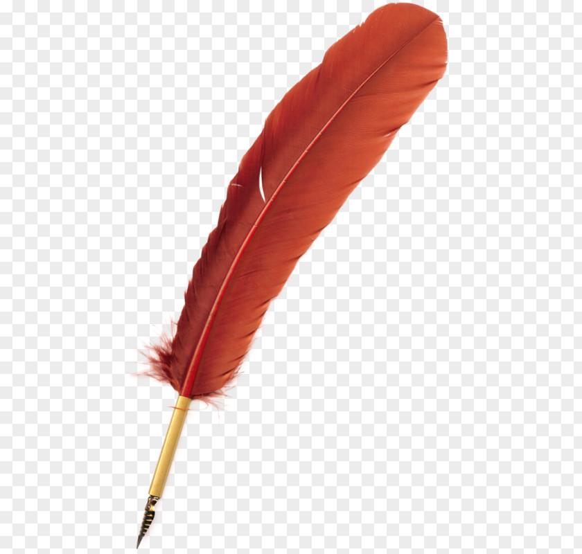 Pen Feather Quill Pens Nib PNG